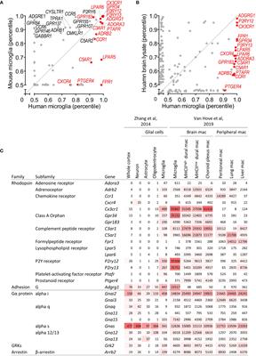 GPCRomics of Homeostatic and Disease-Associated Human Microglia